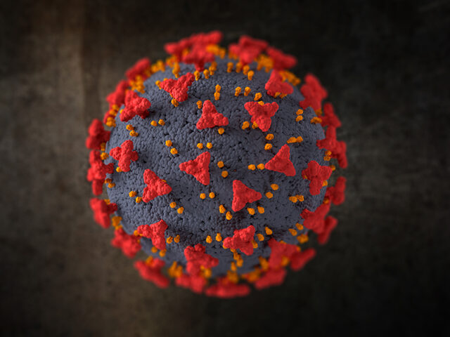 Test Covid-19 antitijela