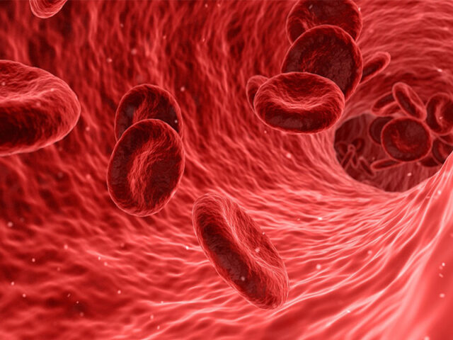Kompletna krvna slika KKS