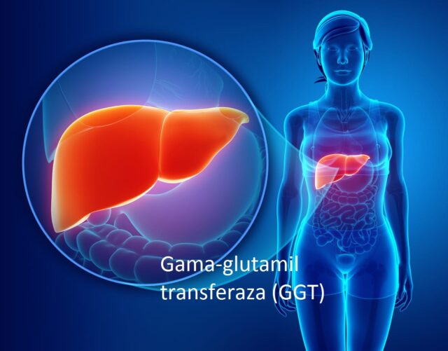 Gama-glutamil transferaza (GGT)