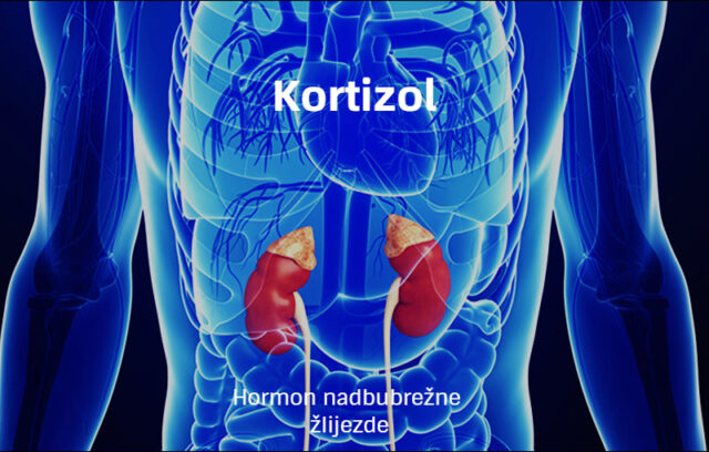kortizol