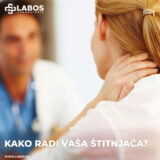 Kako radi vaša štitnjača?