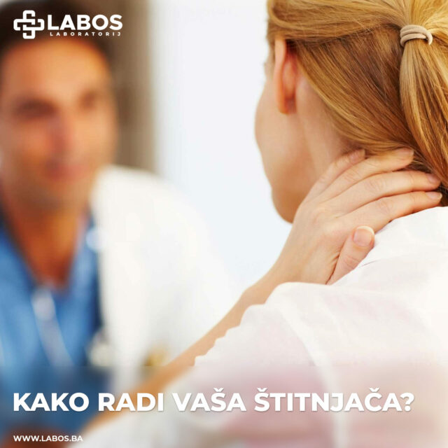 Kako radi vaša štitnjača?